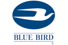 Bluebird
