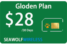 SeawolfWireless