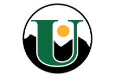 Union Wireless